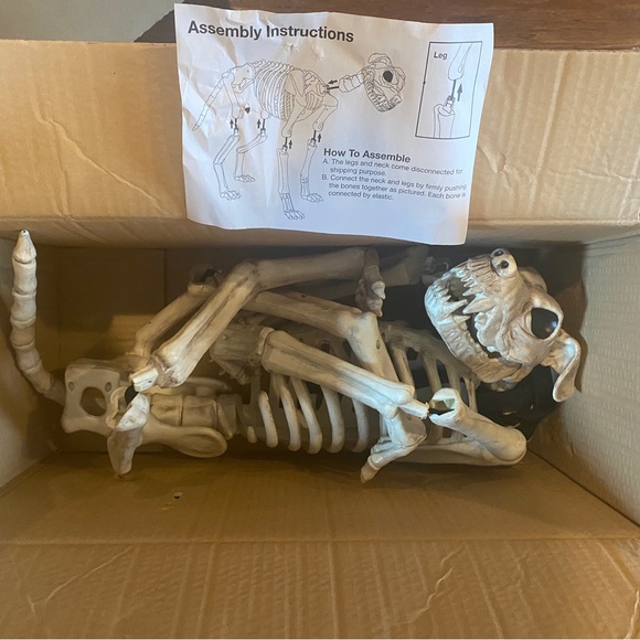 Grandin Road Shadow the Skeleton Dog on Leash large - Picture 8 of 9